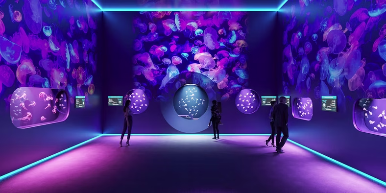 Jellyfish Museum Pompano Beach