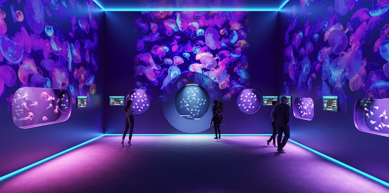 Jellyfish Museum Pompano Beach